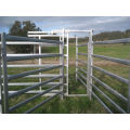 Australia Market Glavanized Oval Cattle Panels for Sale